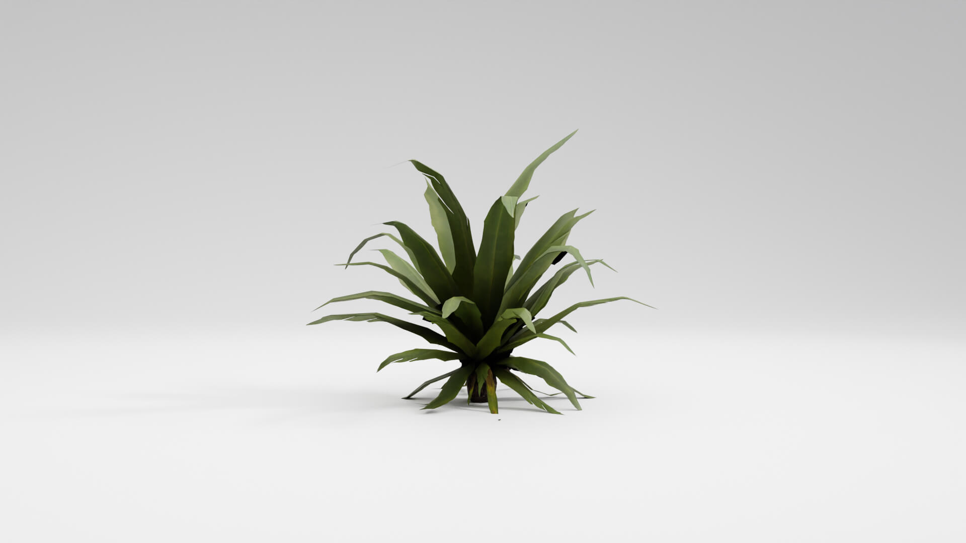 Resident Evil Tropical Plant-02 3D Model