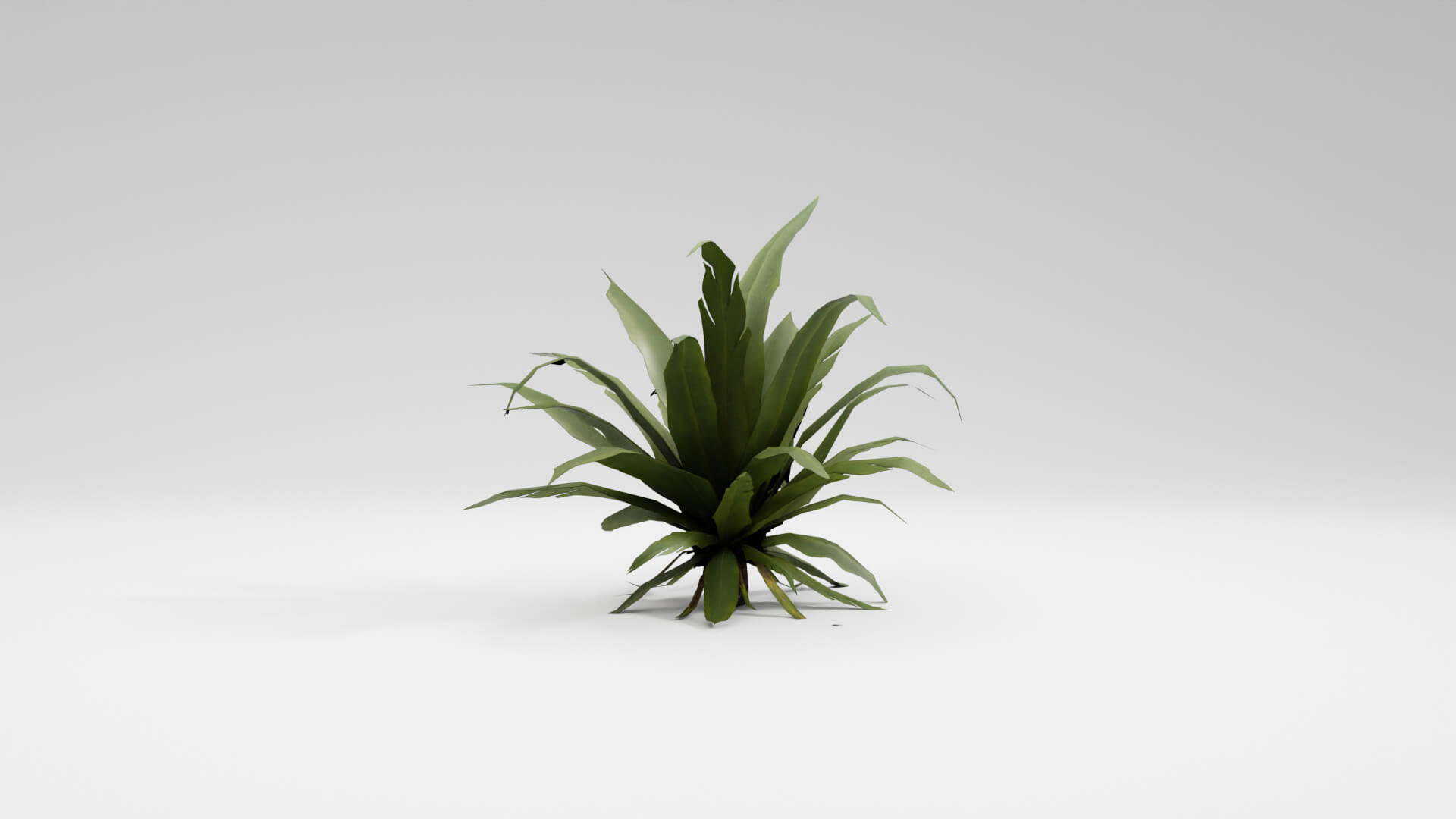 Resident Evil Tropical Plant-02 3D Model