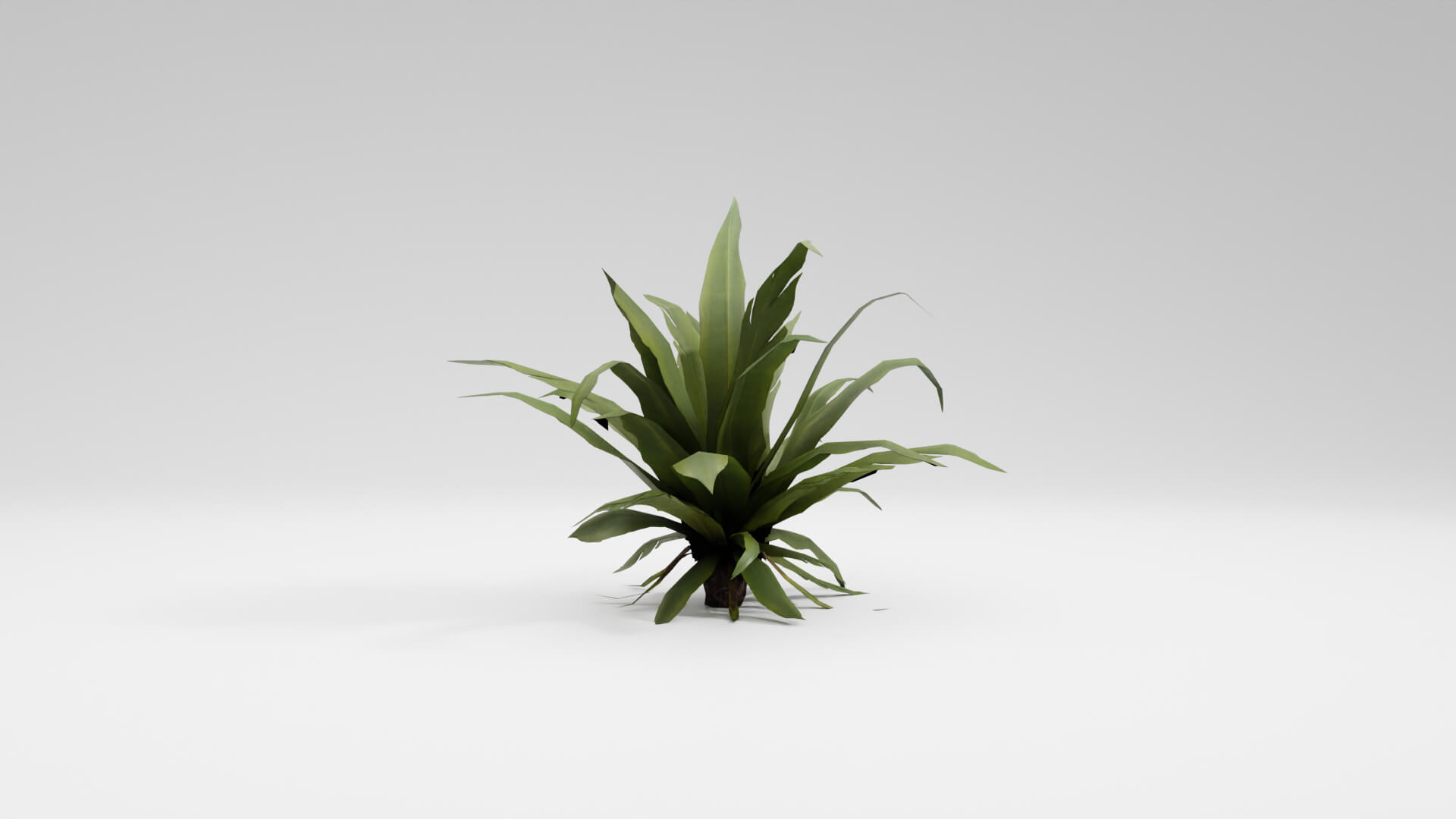 Resident Evil Tropical Plant-02 3D Model
