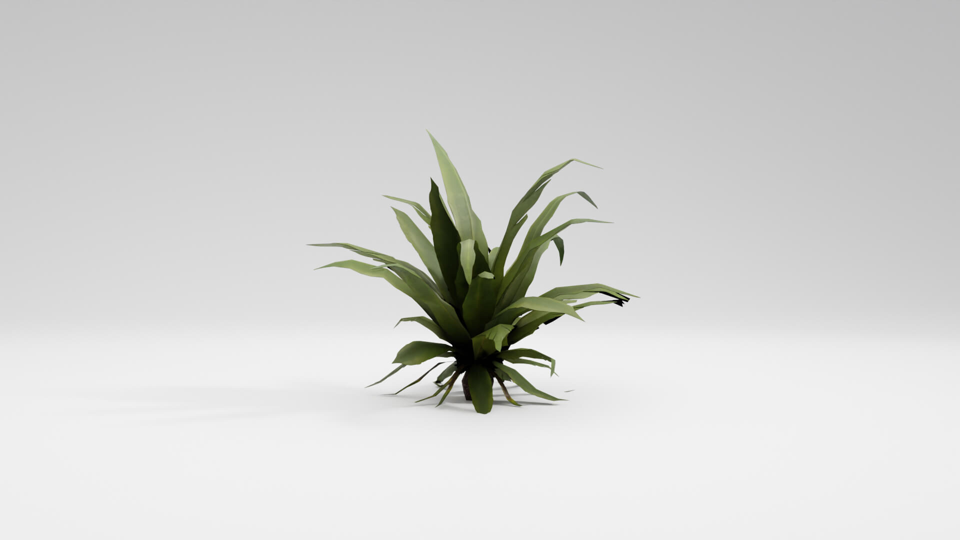 Resident Evil Tropical Plant-02 3D Model