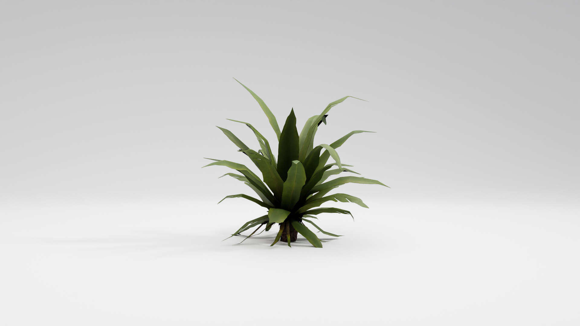 Resident Evil Tropical Plant-02 3D Model