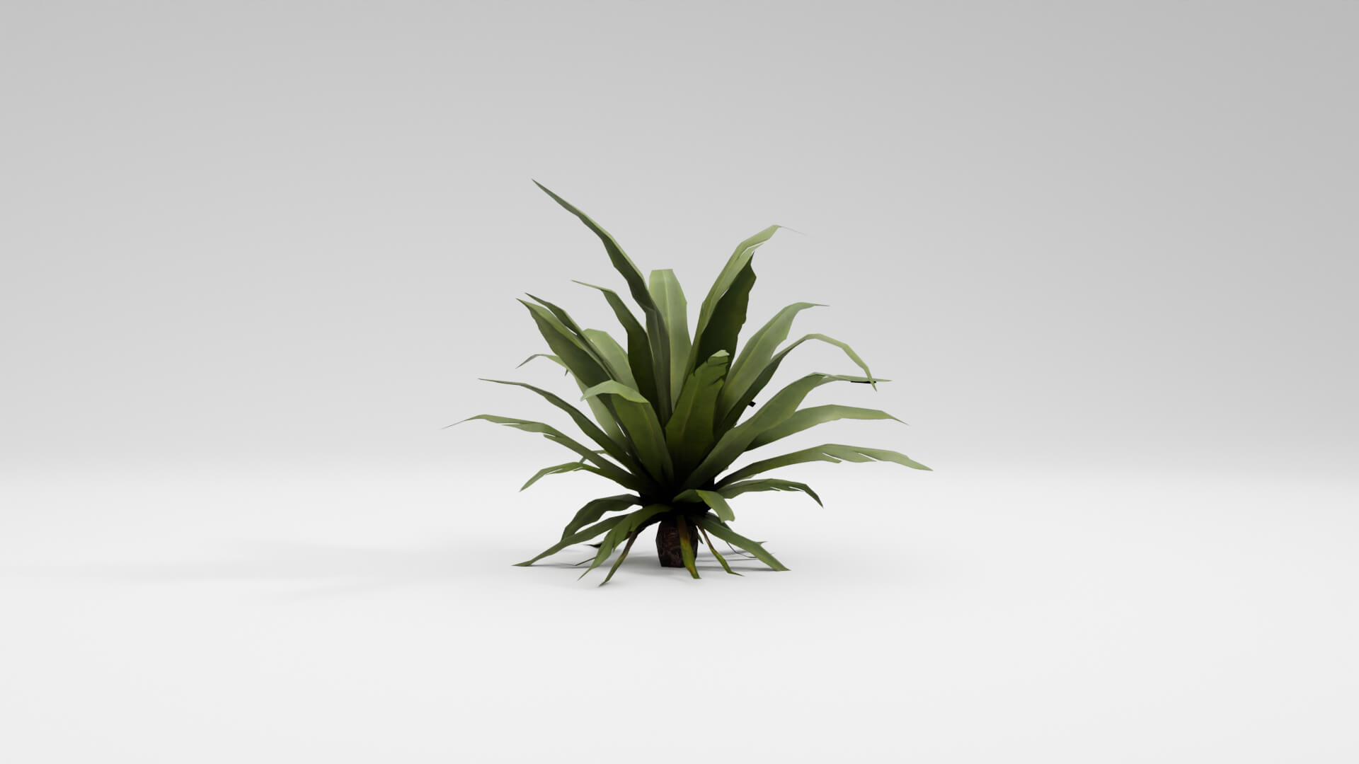 Resident Evil Tropical Plant-02 3D Model