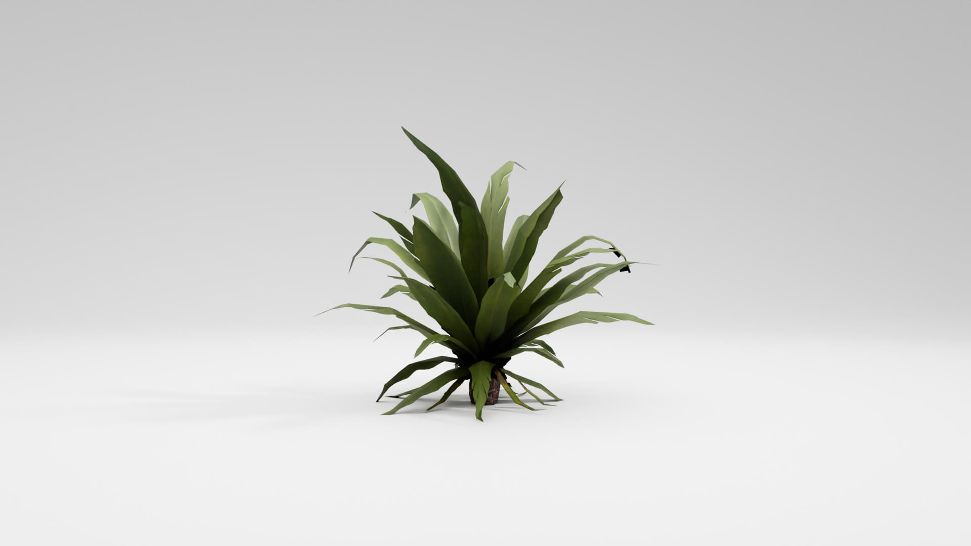 Resident Evil Tropical Plant-02 3D Model