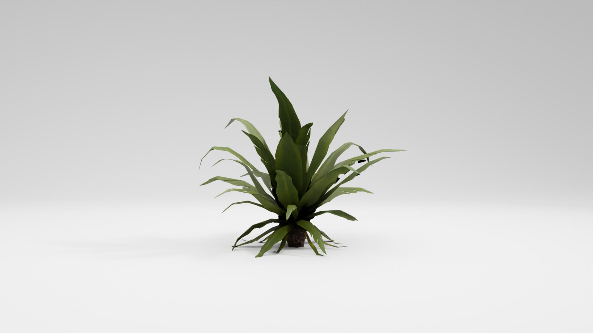 Resident Evil Tropical Plant-02 3D Model