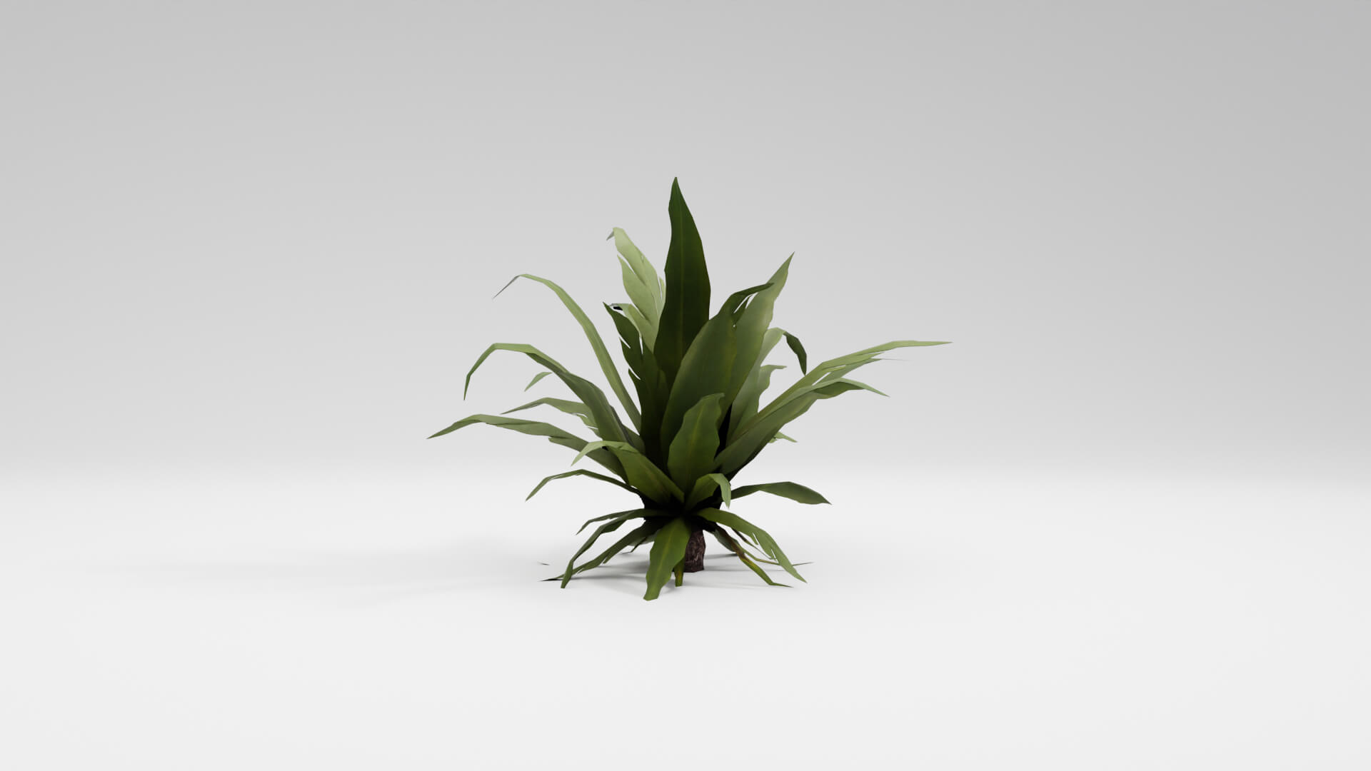 Resident Evil Tropical Plant-02 3D Model