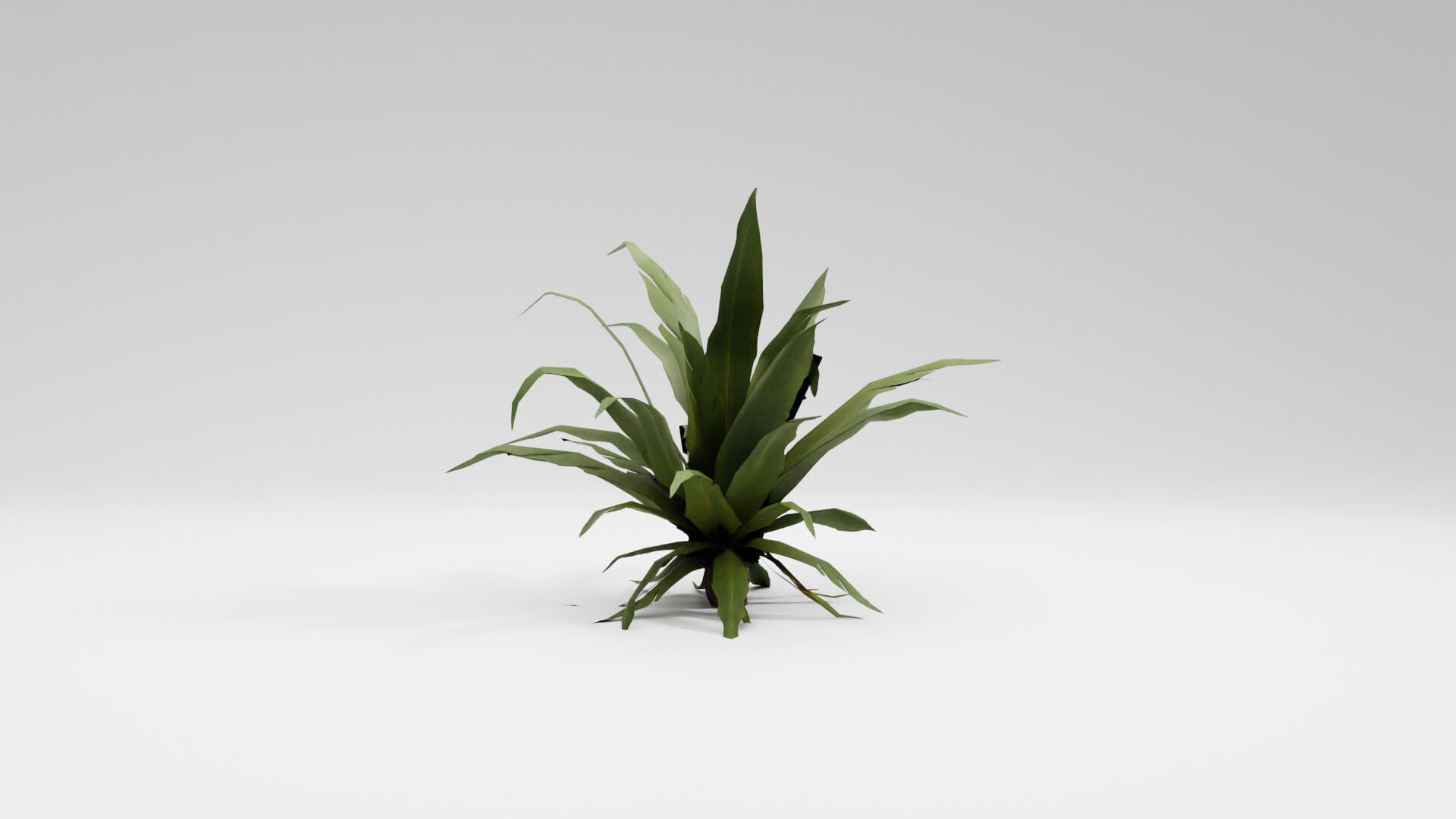 Resident Evil Tropical Plant-02 3D Model