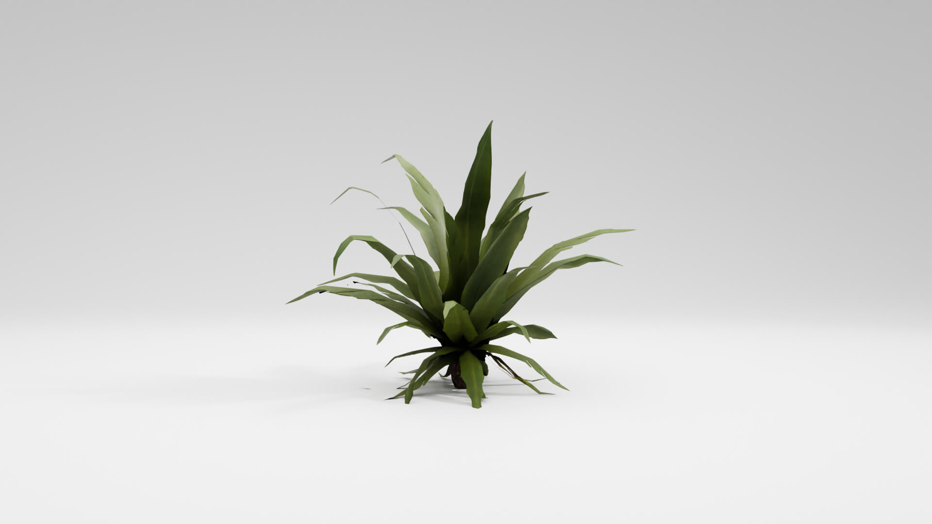 Resident Evil Tropical Plant-02 3D Model