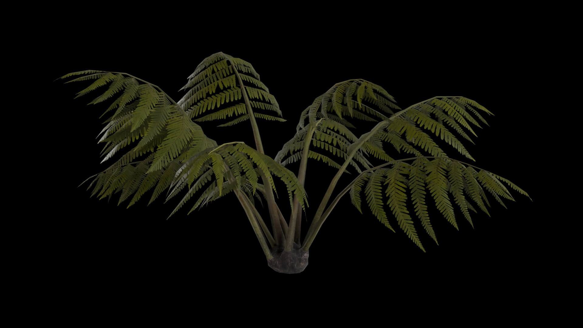 Resident Evil Tropical Plant-05 3D Model