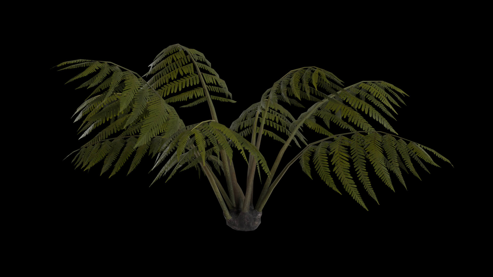 Resident Evil Tropical Plant-05 3D Model