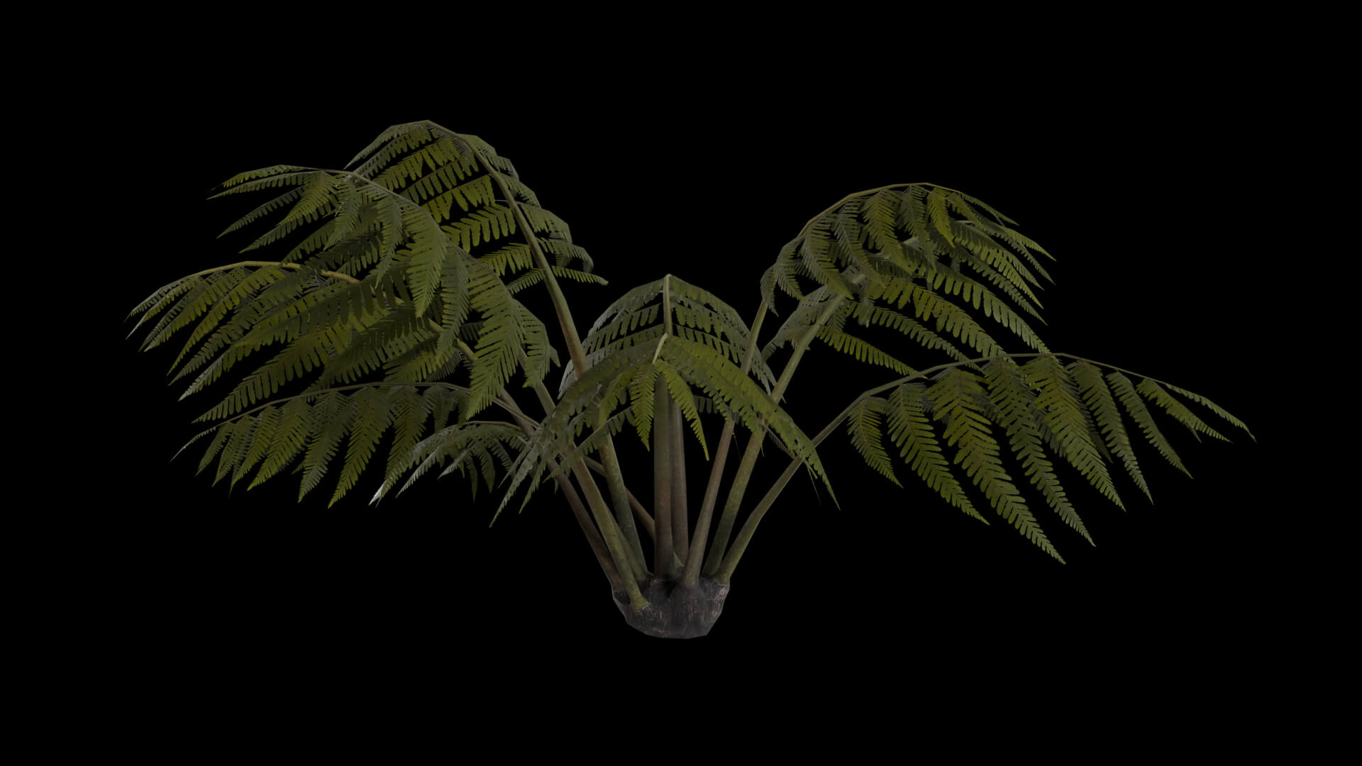 Resident Evil Tropical Plant-05 3D Model