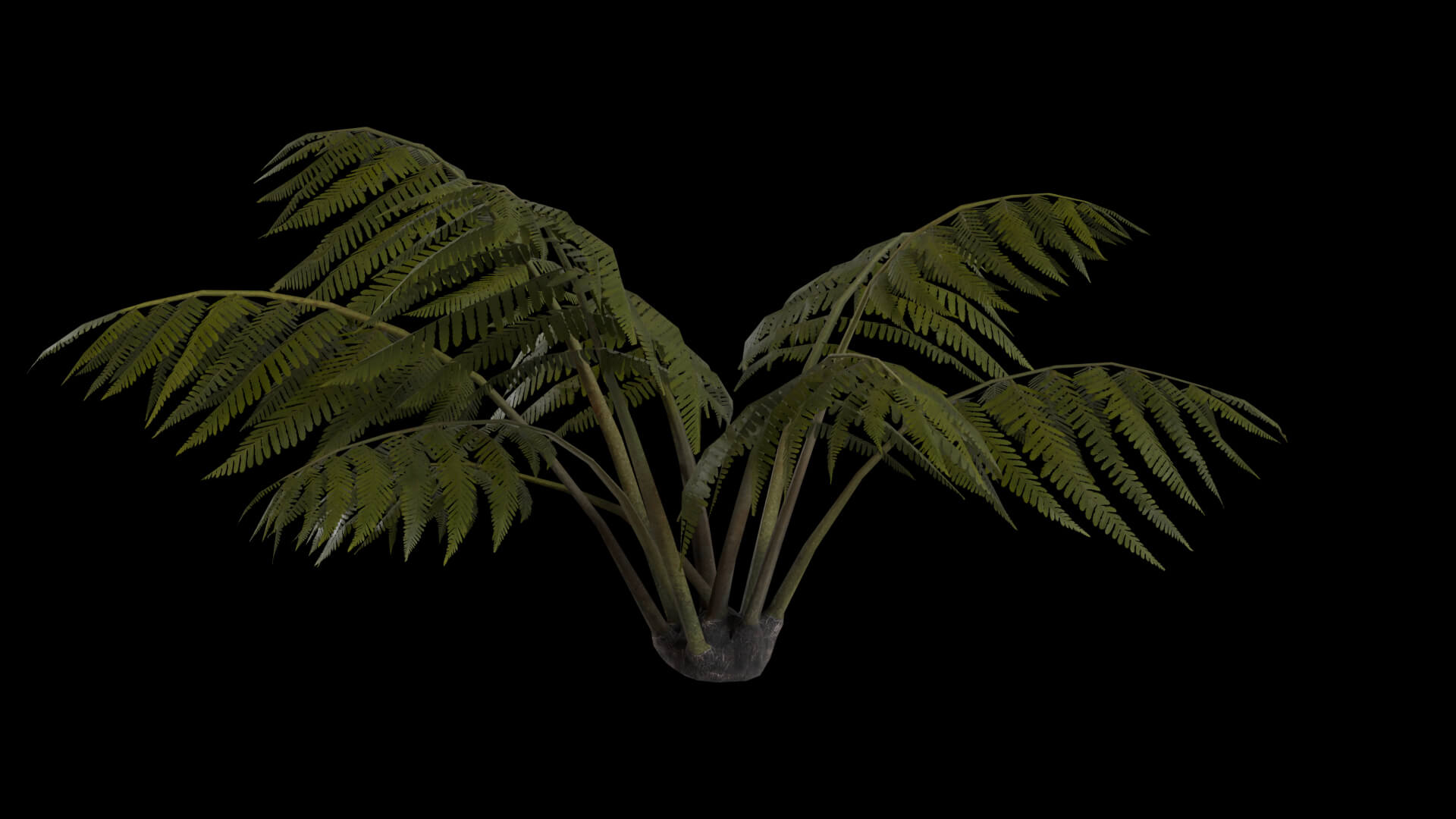 Resident Evil Tropical Plant-05 3D Model