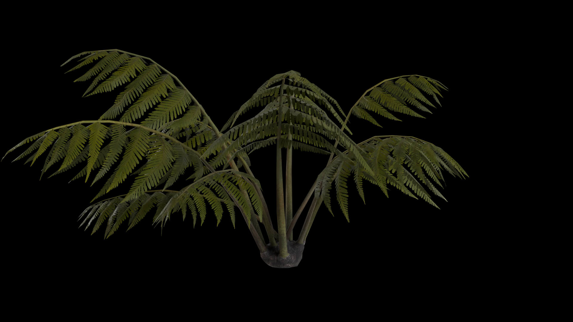 Resident Evil Tropical Plant-05 3D Model