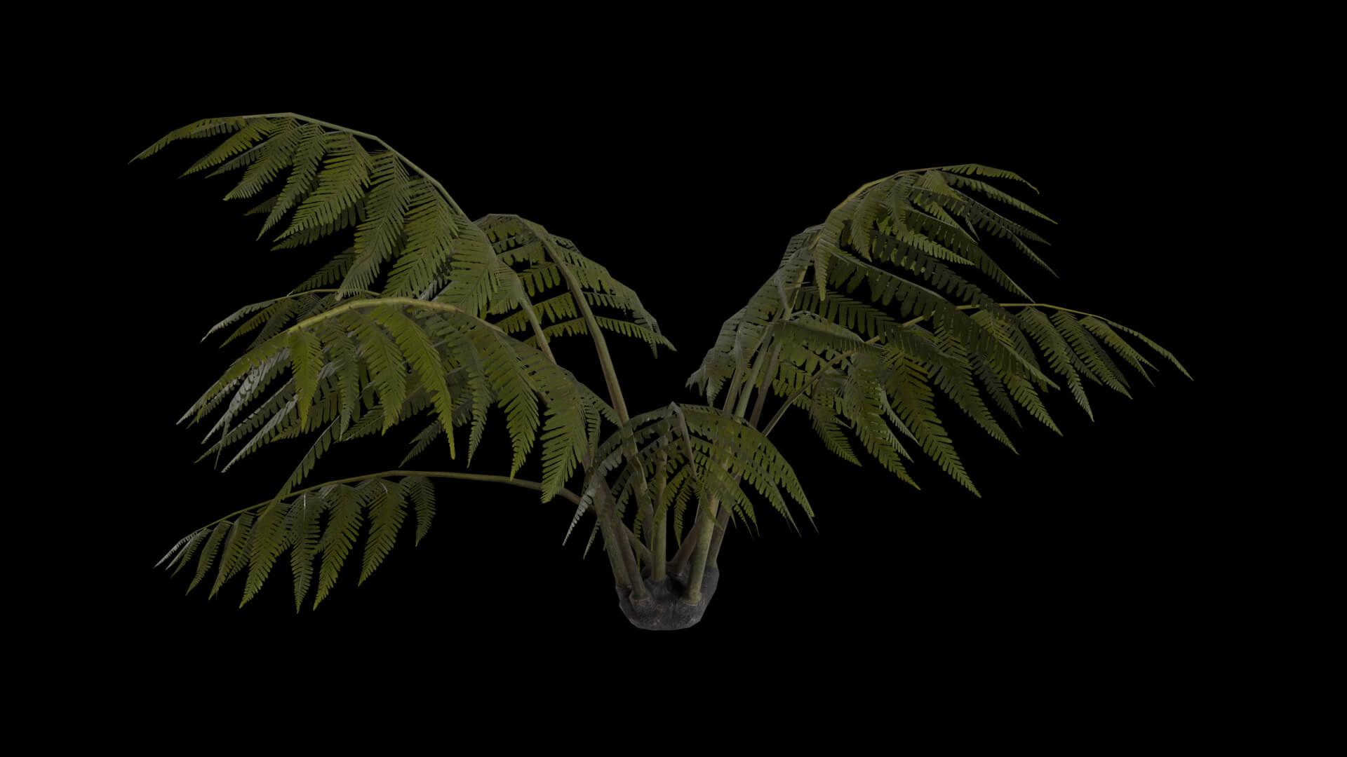 Resident Evil Tropical Plant-05 3D Model