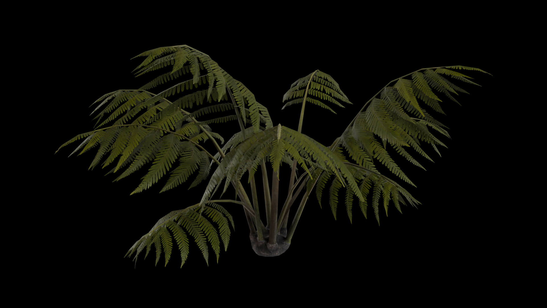 Resident Evil Tropical Plant-05 3D Model
