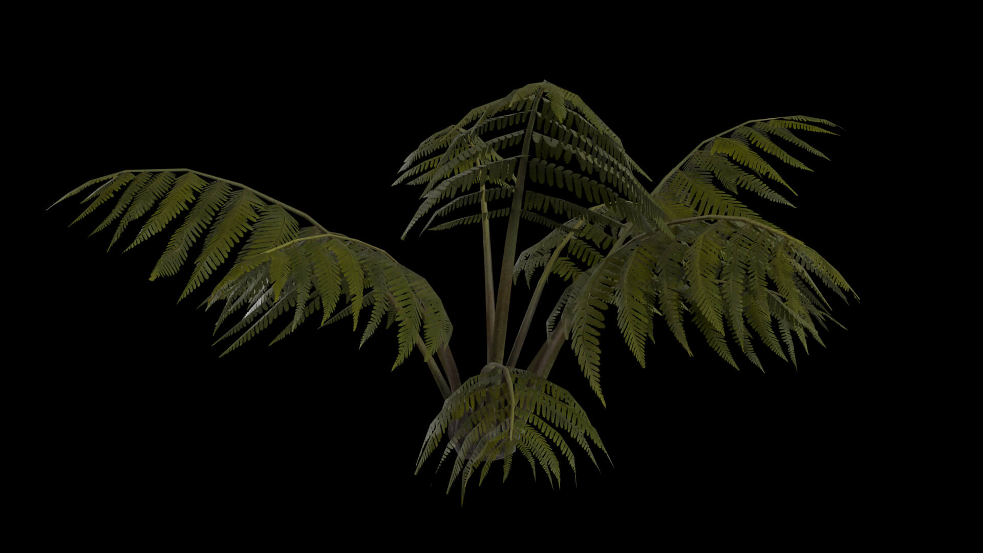 Resident Evil Tropical Plant-05 3D Model