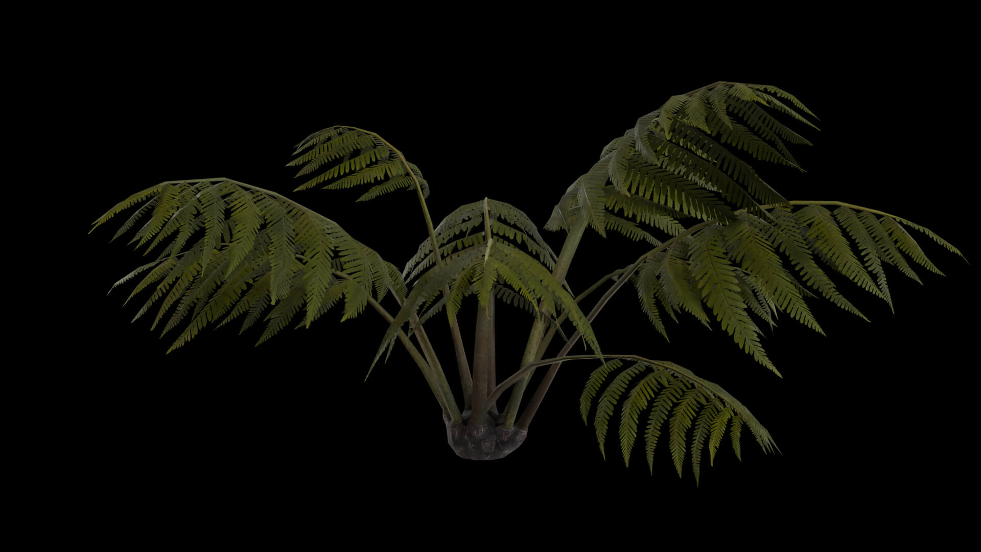 Resident Evil Tropical Plant-05 3D Model