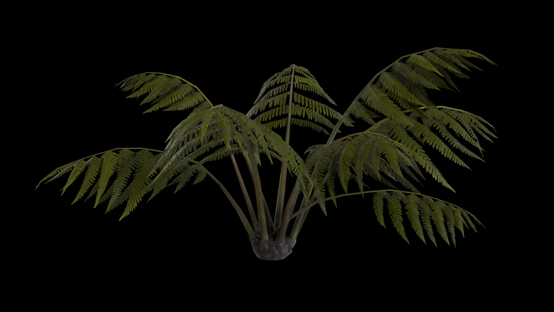 Resident Evil Tropical Plant-05 3D Model