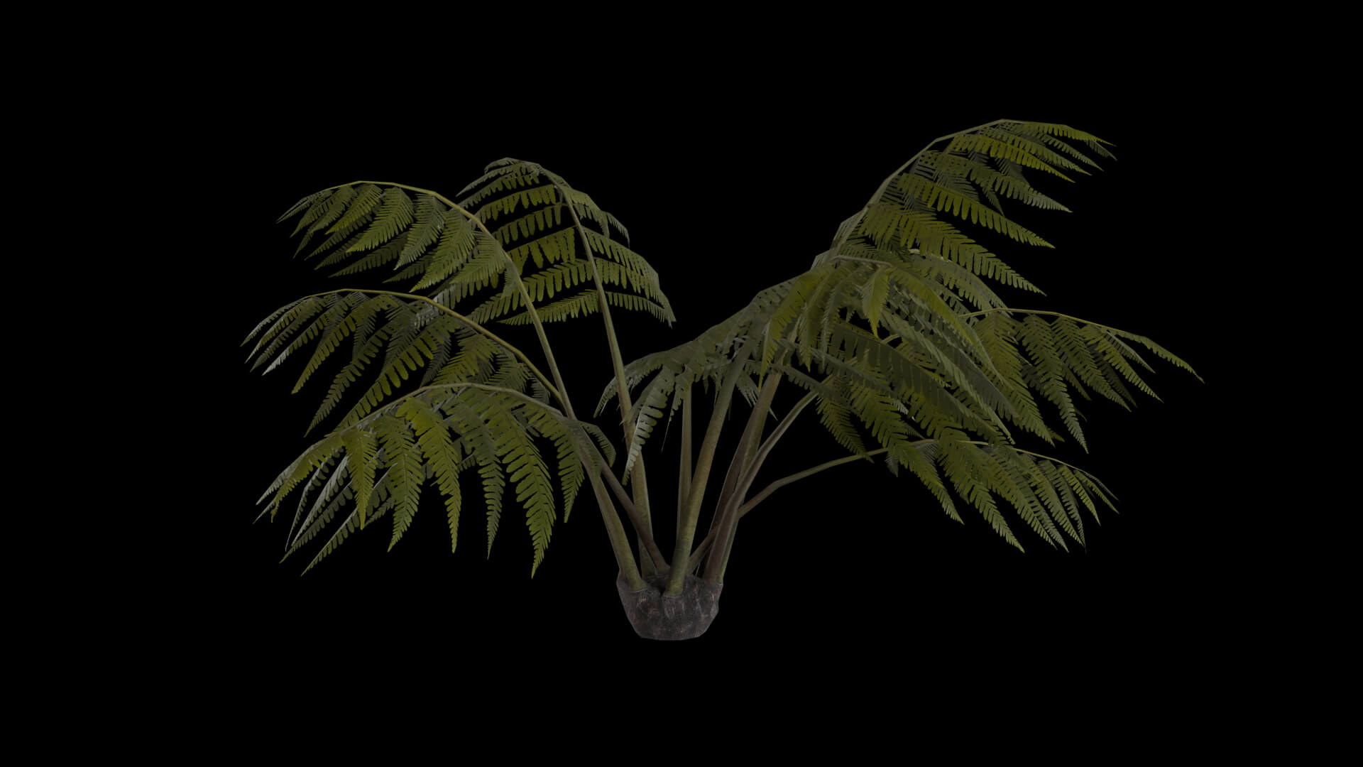 Resident Evil Tropical Plant-05 3D Model