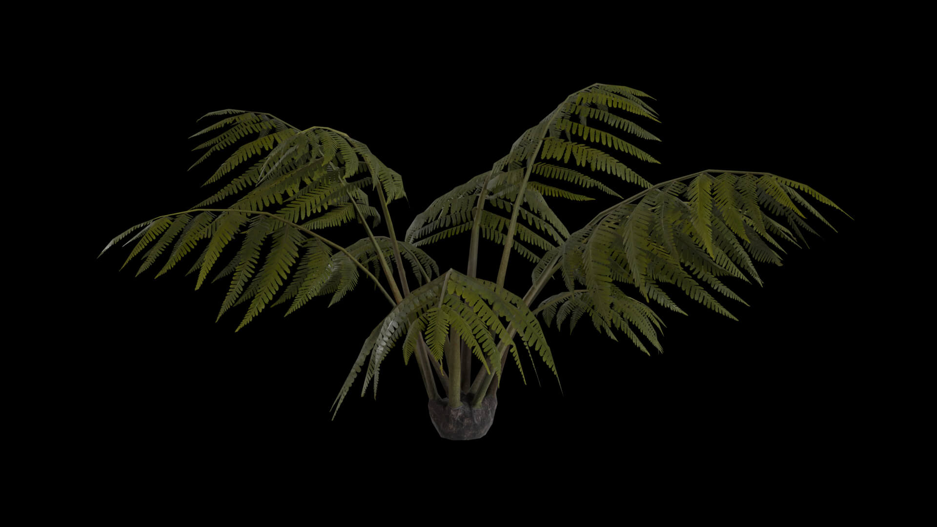 Resident Evil Tropical Plant-05 3D Model