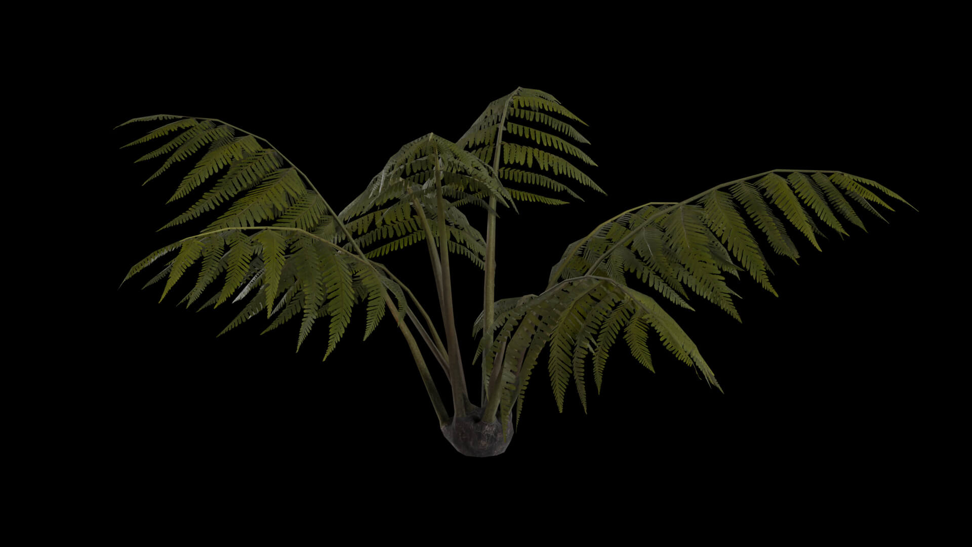 Resident Evil Tropical Plant-05 3D Model
