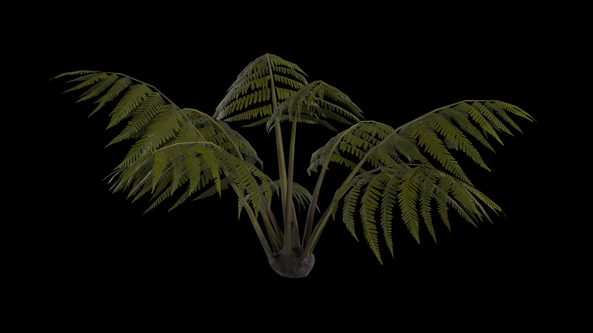 Resident Evil Tropical Plant-05 3D Model
