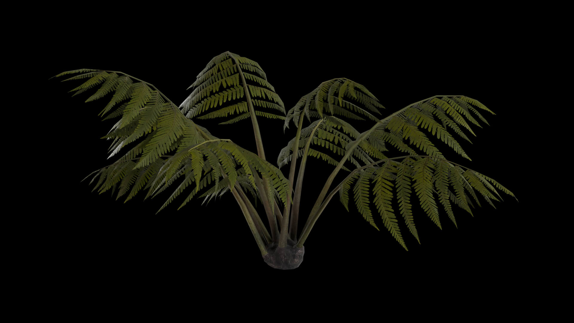 Resident Evil Tropical Plant-05 3D Model