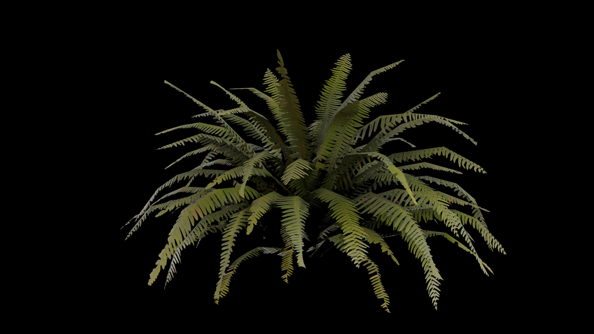 Resident Evil - Tropical Plant-06 3D Model