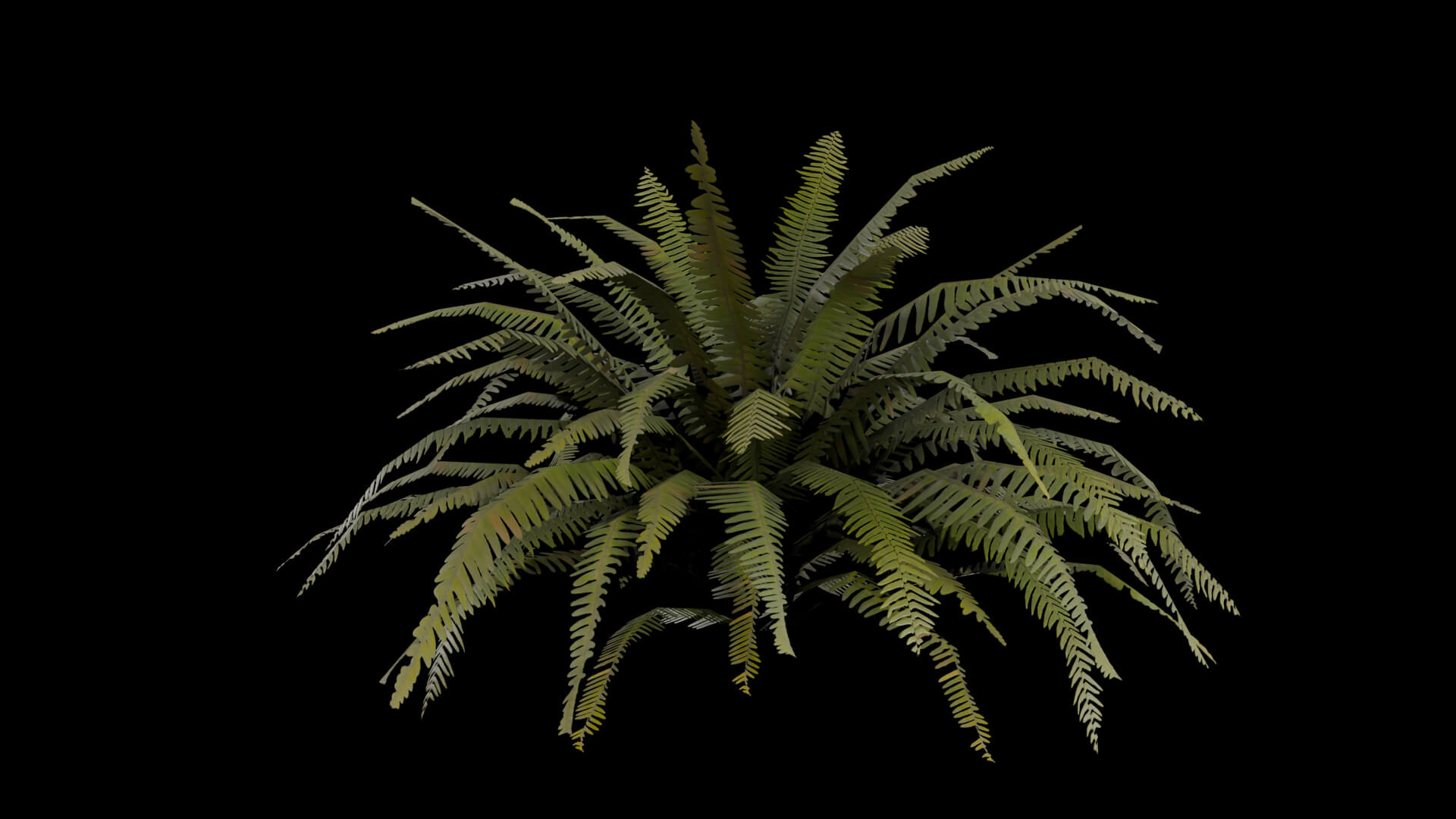 Resident Evil - Tropical Plant-06 3D Model