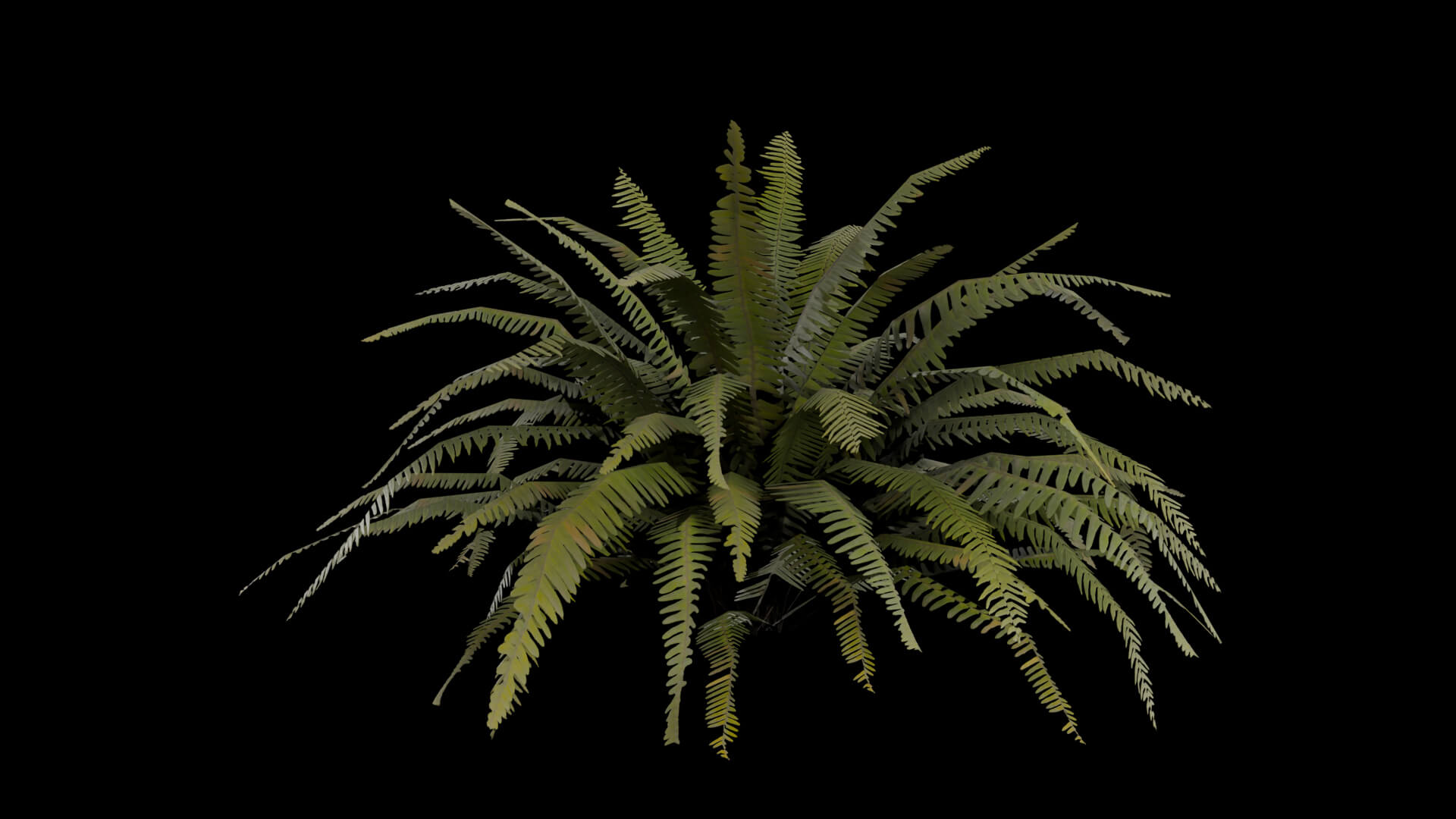 Resident Evil - Tropical Plant-06 3D Model