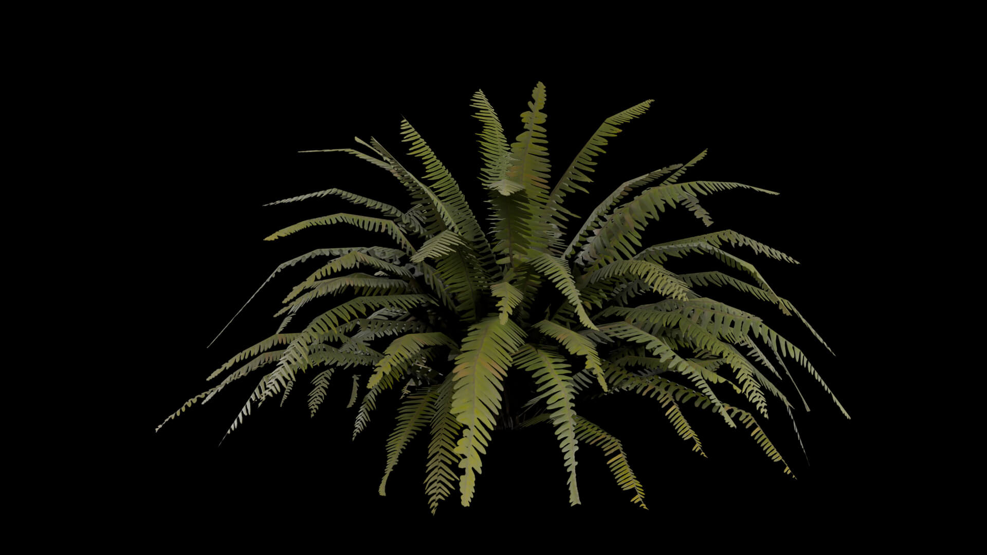Resident Evil - Tropical Plant-06 3D Model