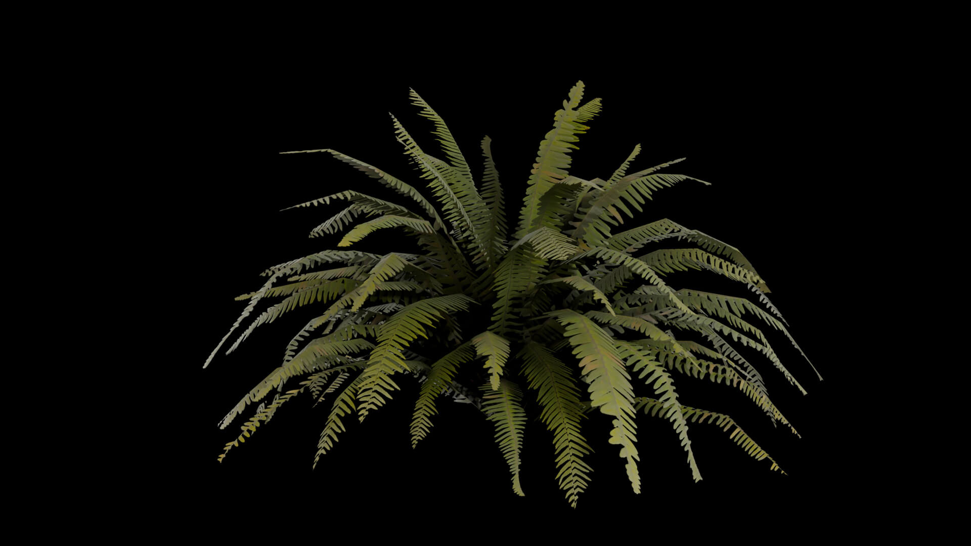 Resident Evil - Tropical Plant-06 3D Model