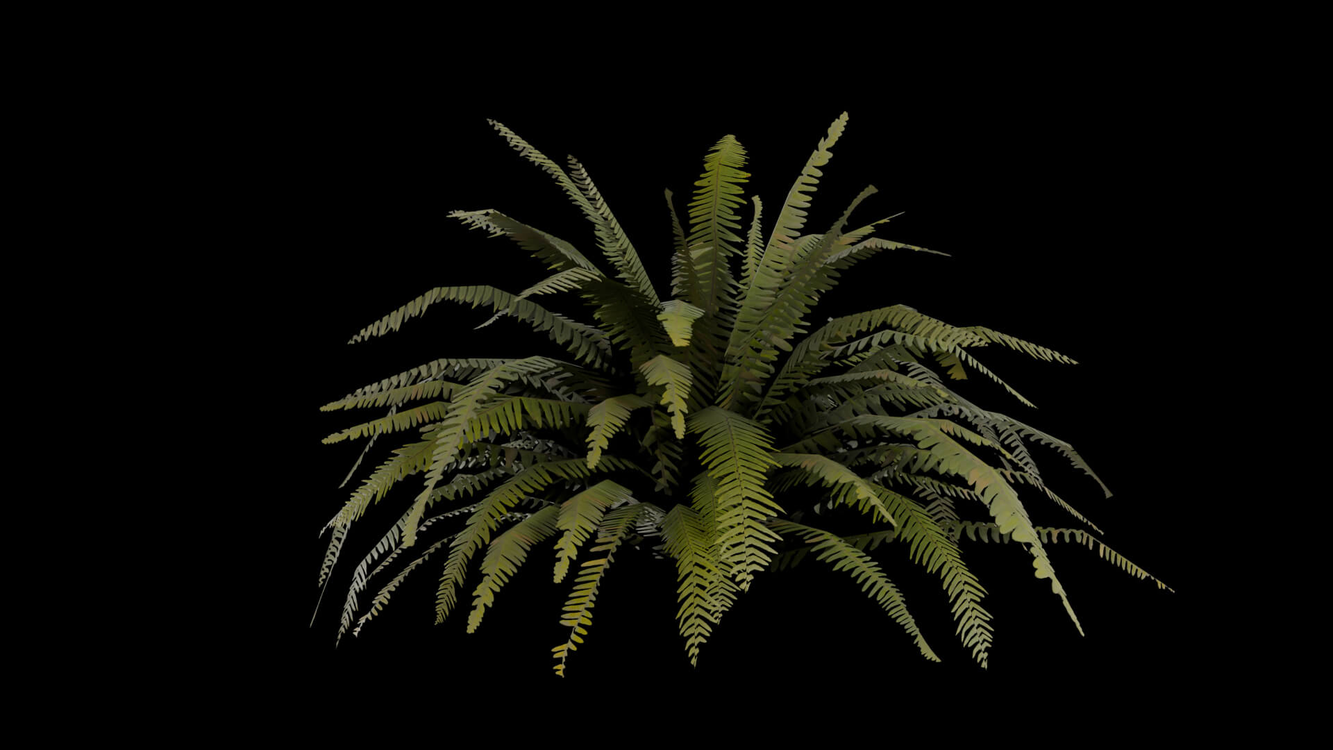 Resident Evil - Tropical Plant-06 3D Model