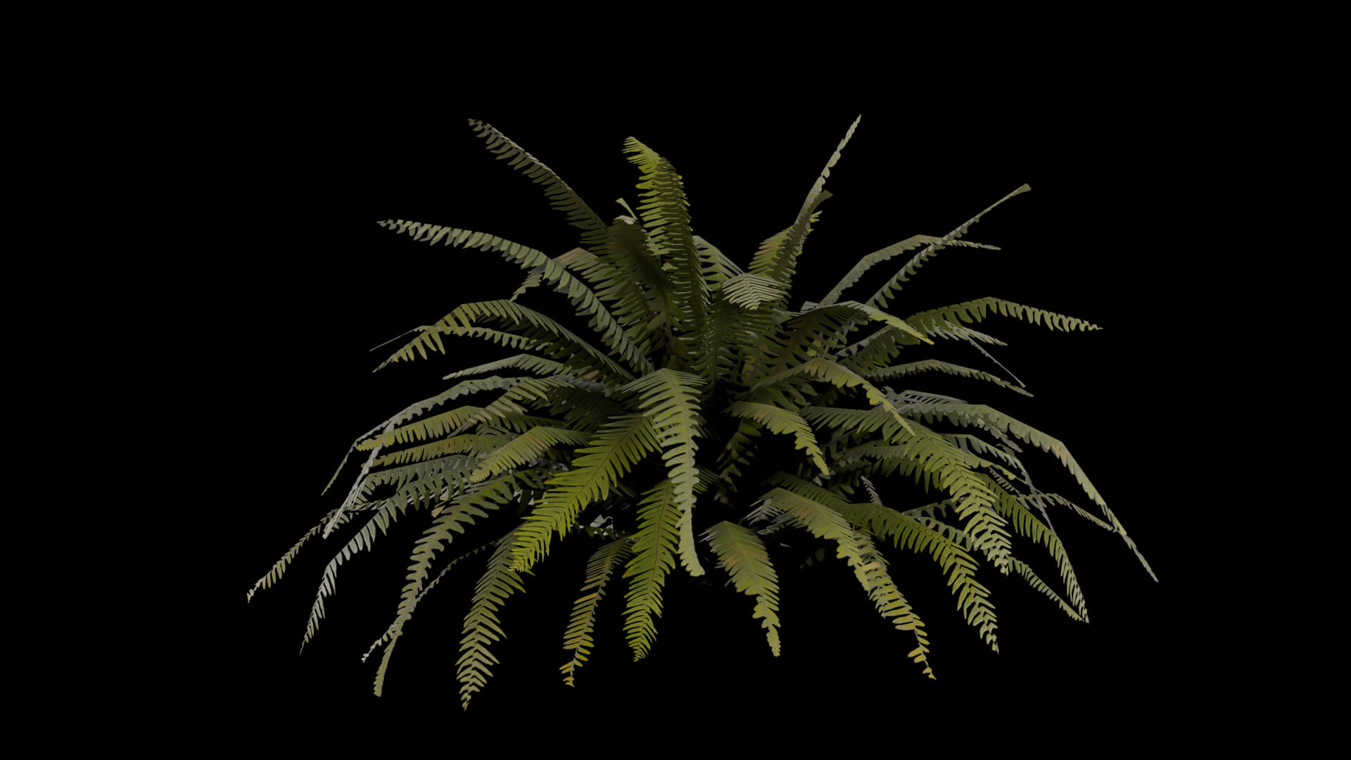 Resident Evil - Tropical Plant-06 3D Model