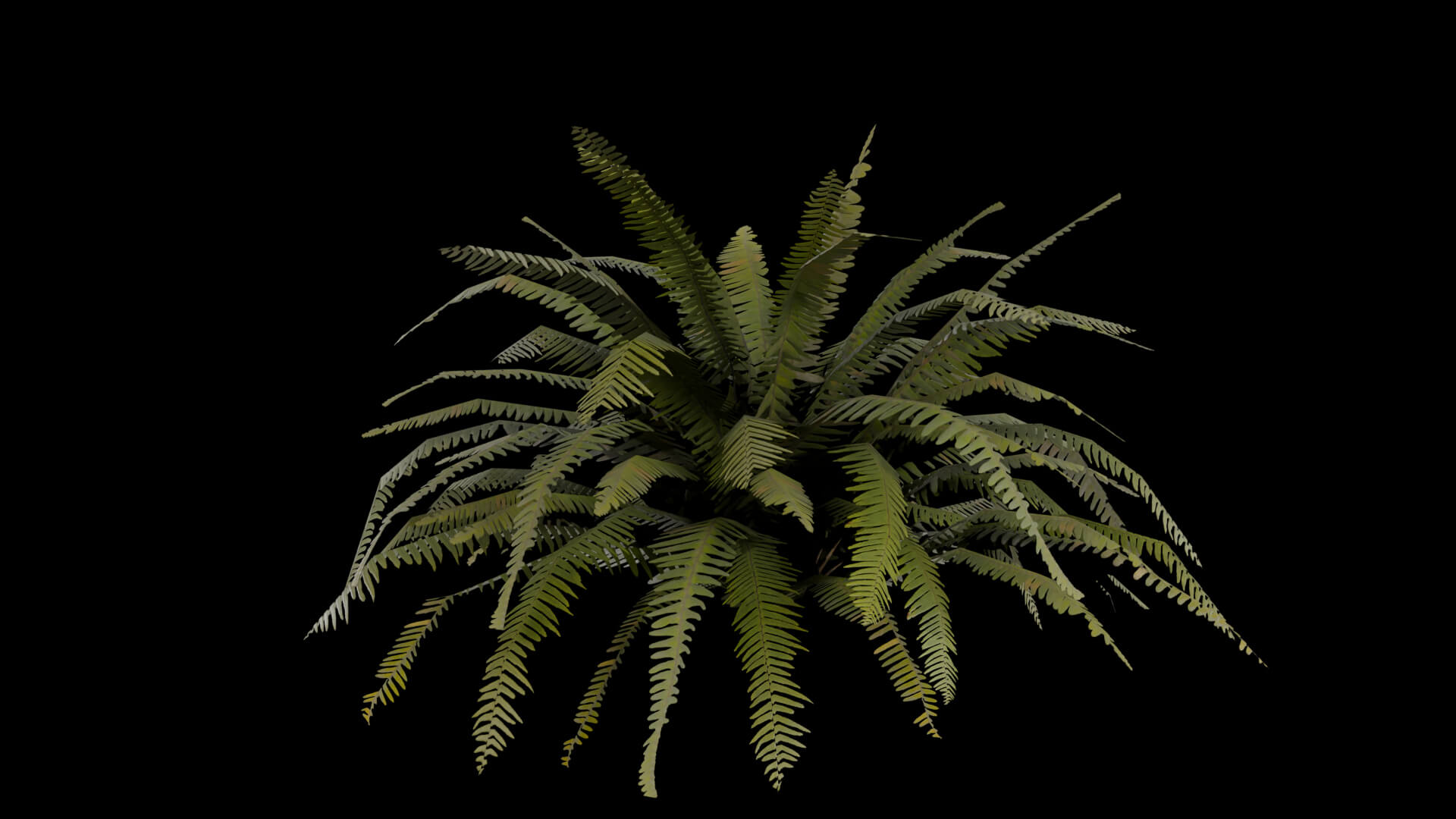 Resident Evil - Tropical Plant-06 3D Model