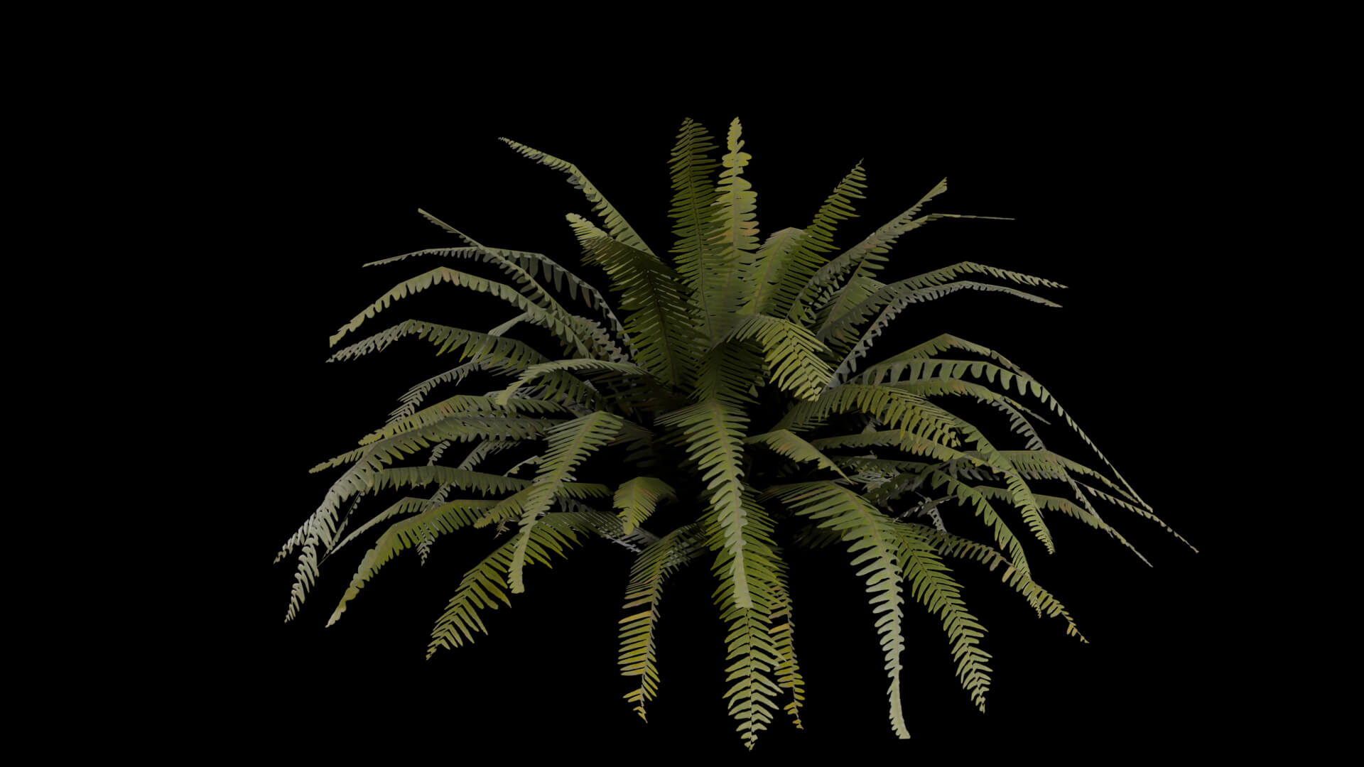 Resident Evil - Tropical Plant-06 3D Model