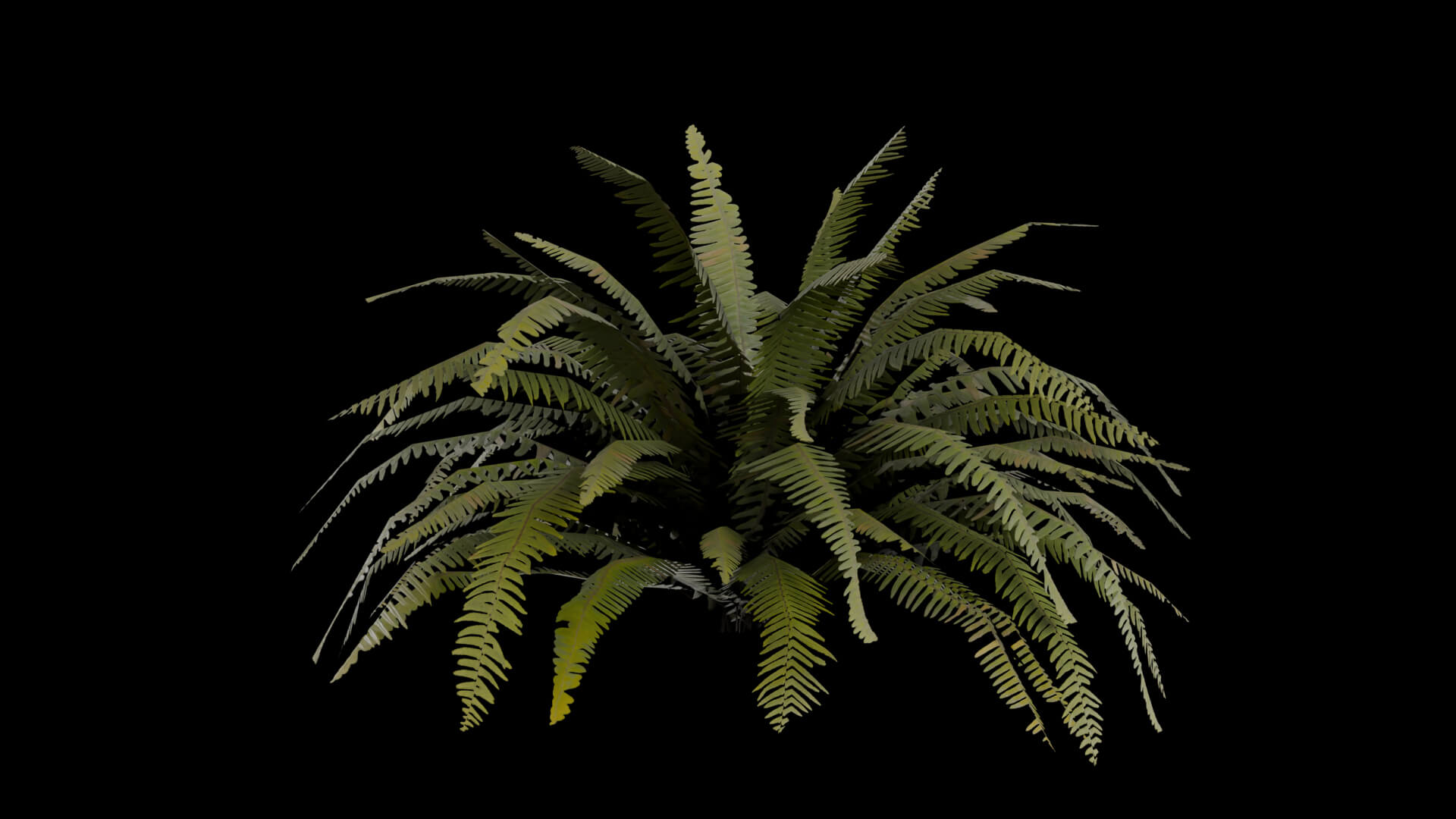 Resident Evil - Tropical Plant-06 3D Model