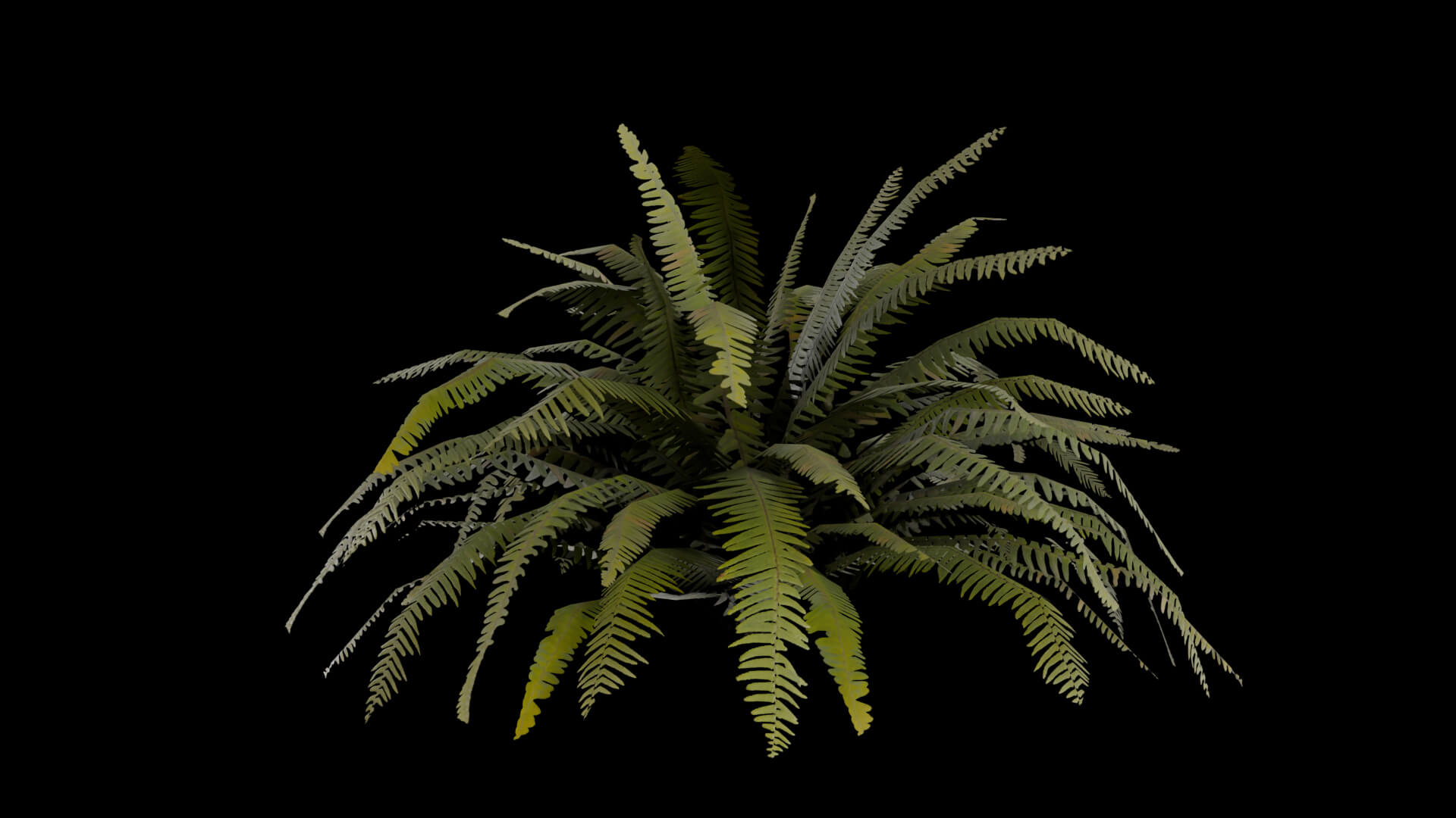 Resident Evil - Tropical Plant-06 3D Model