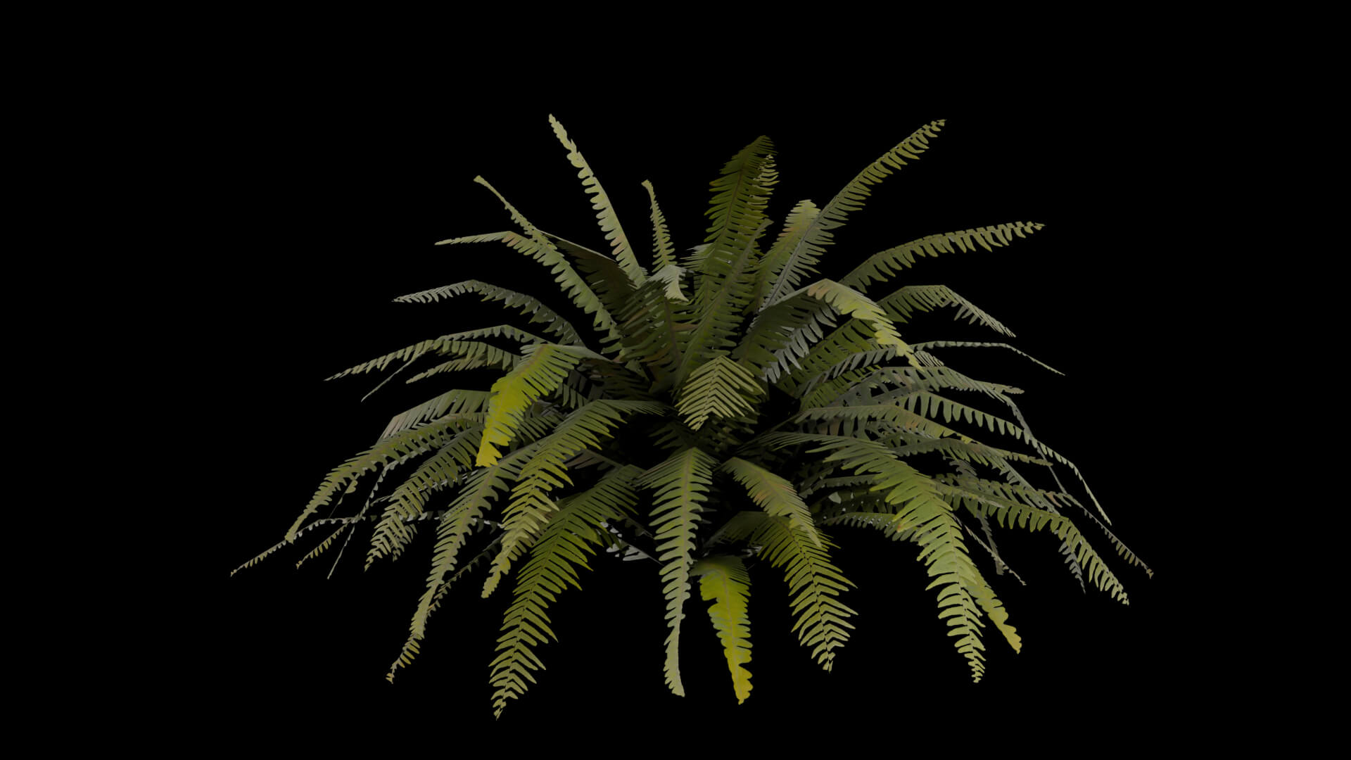 Resident Evil - Tropical Plant-06 3D Model