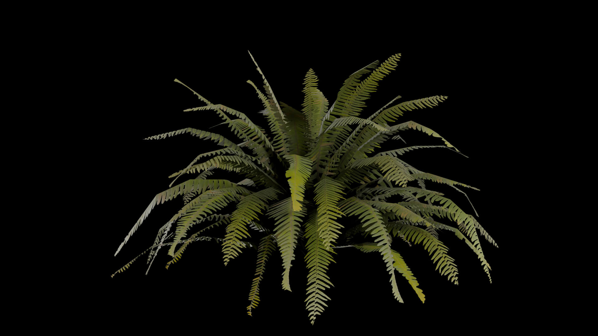 Resident Evil - Tropical Plant-06 3D Model