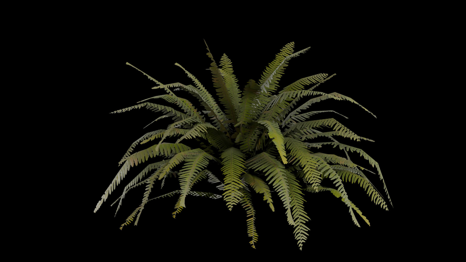 Resident Evil - Tropical Plant-06 3D Model