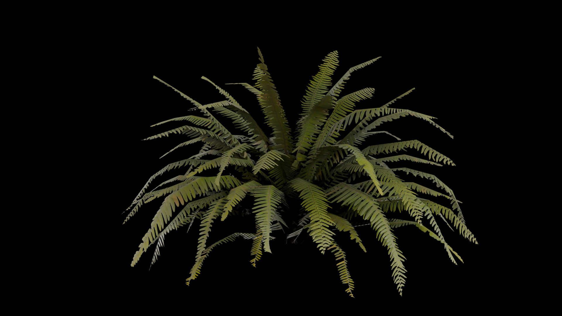 Resident Evil - Tropical Plant-06 3D Model