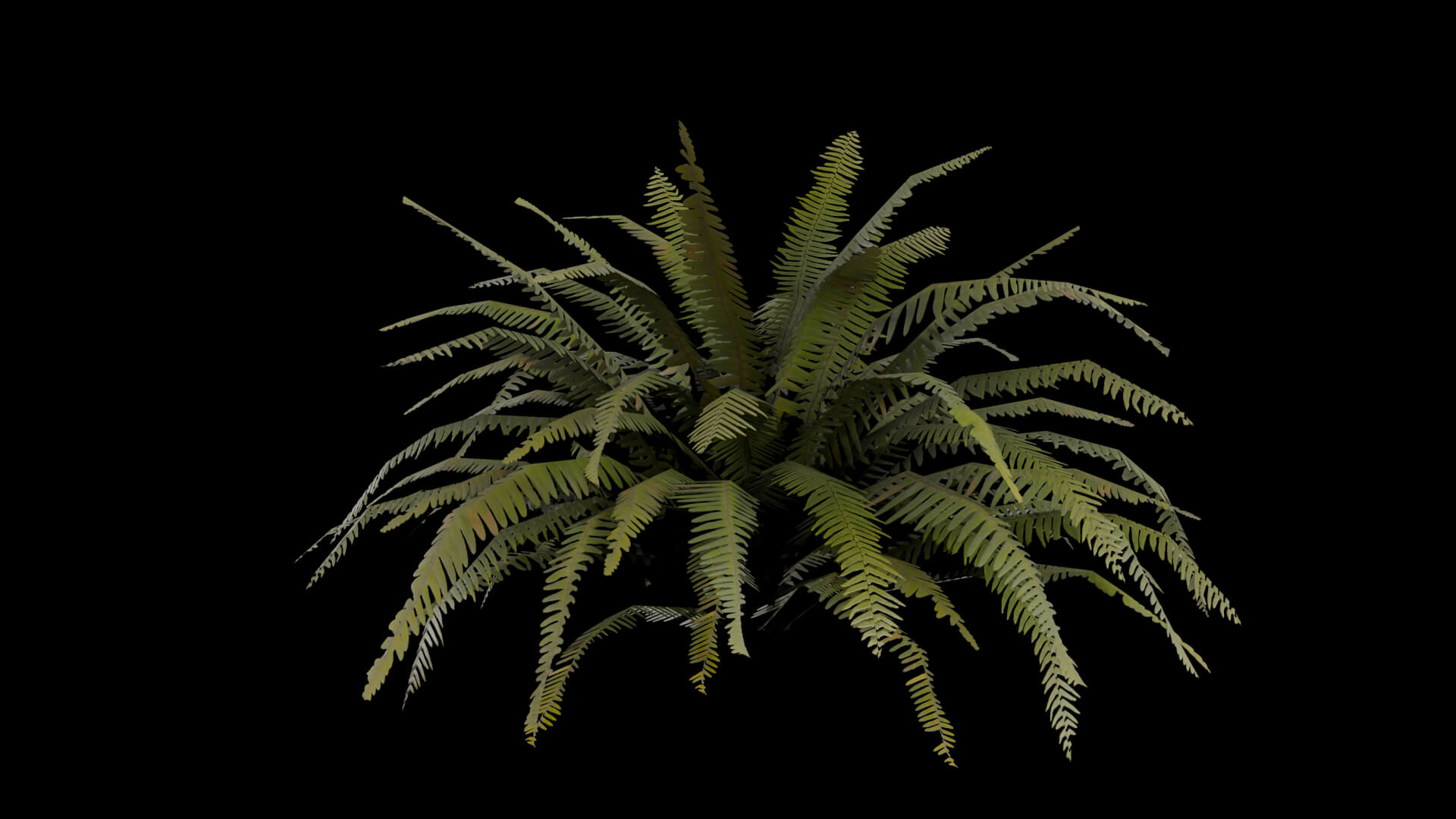 Resident Evil - Tropical Plant-06 3D Model