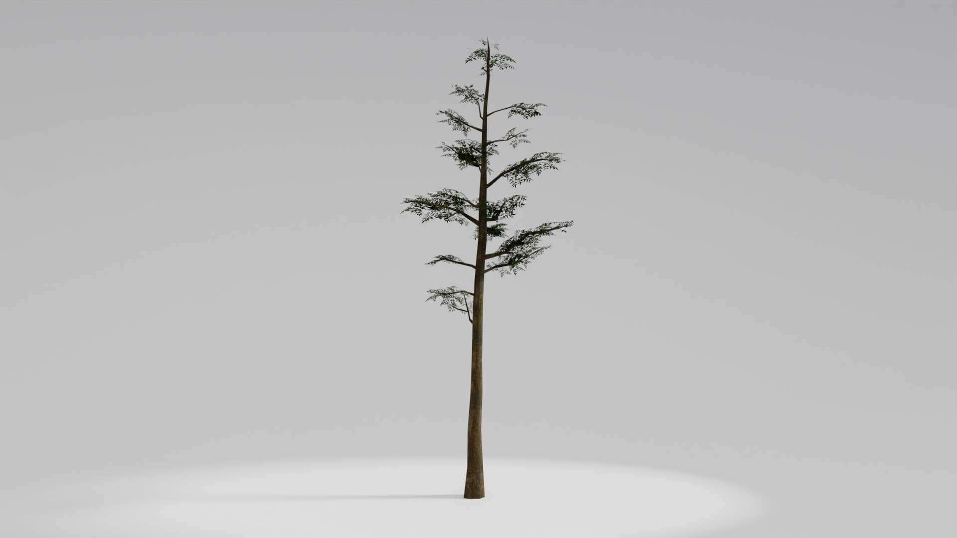 Resident Evil Tropical Plant 3D Model