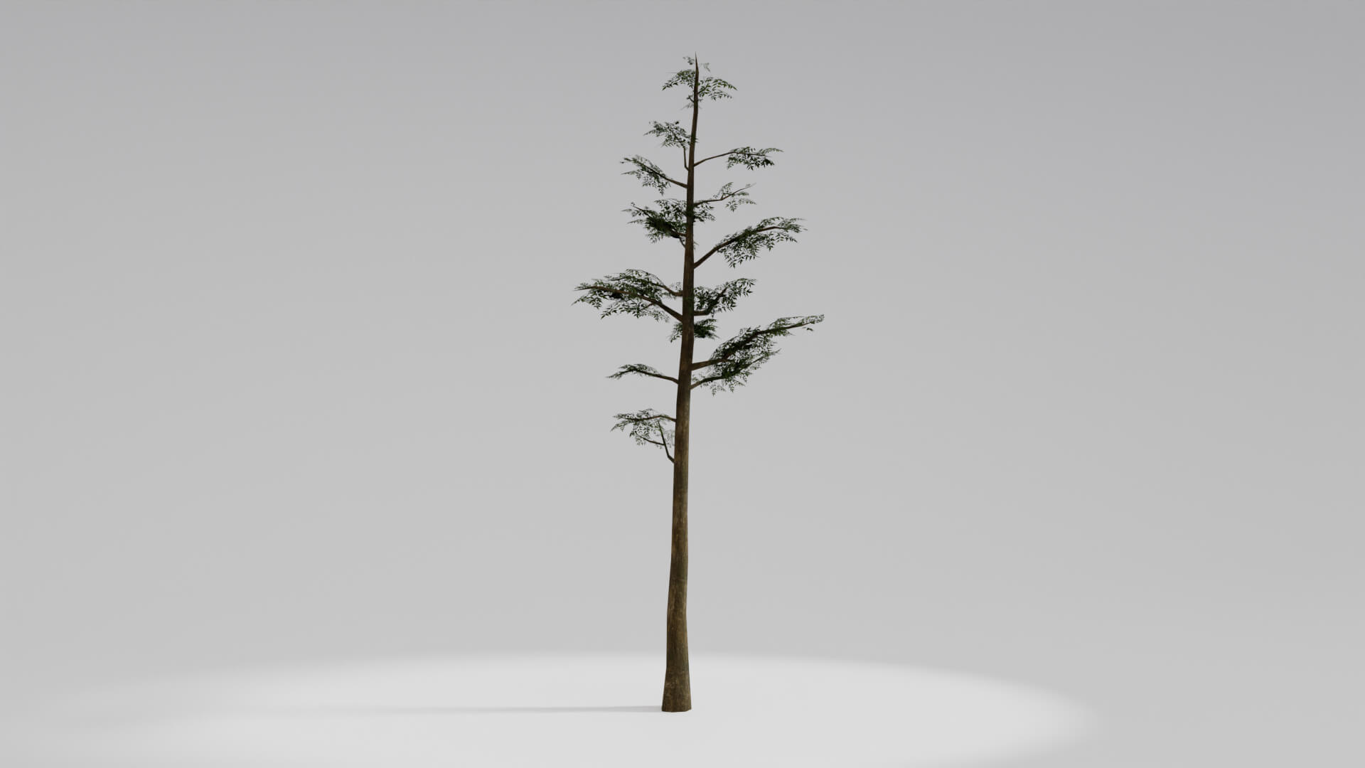 Resident Evil Tropical Plant 3D Model