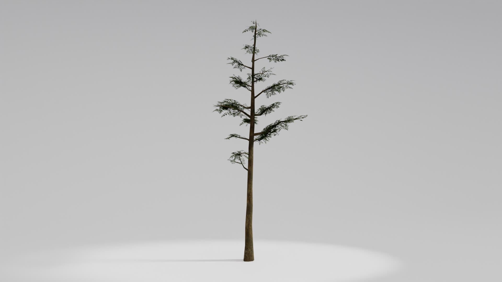 Resident Evil Tropical Plant 3D Model