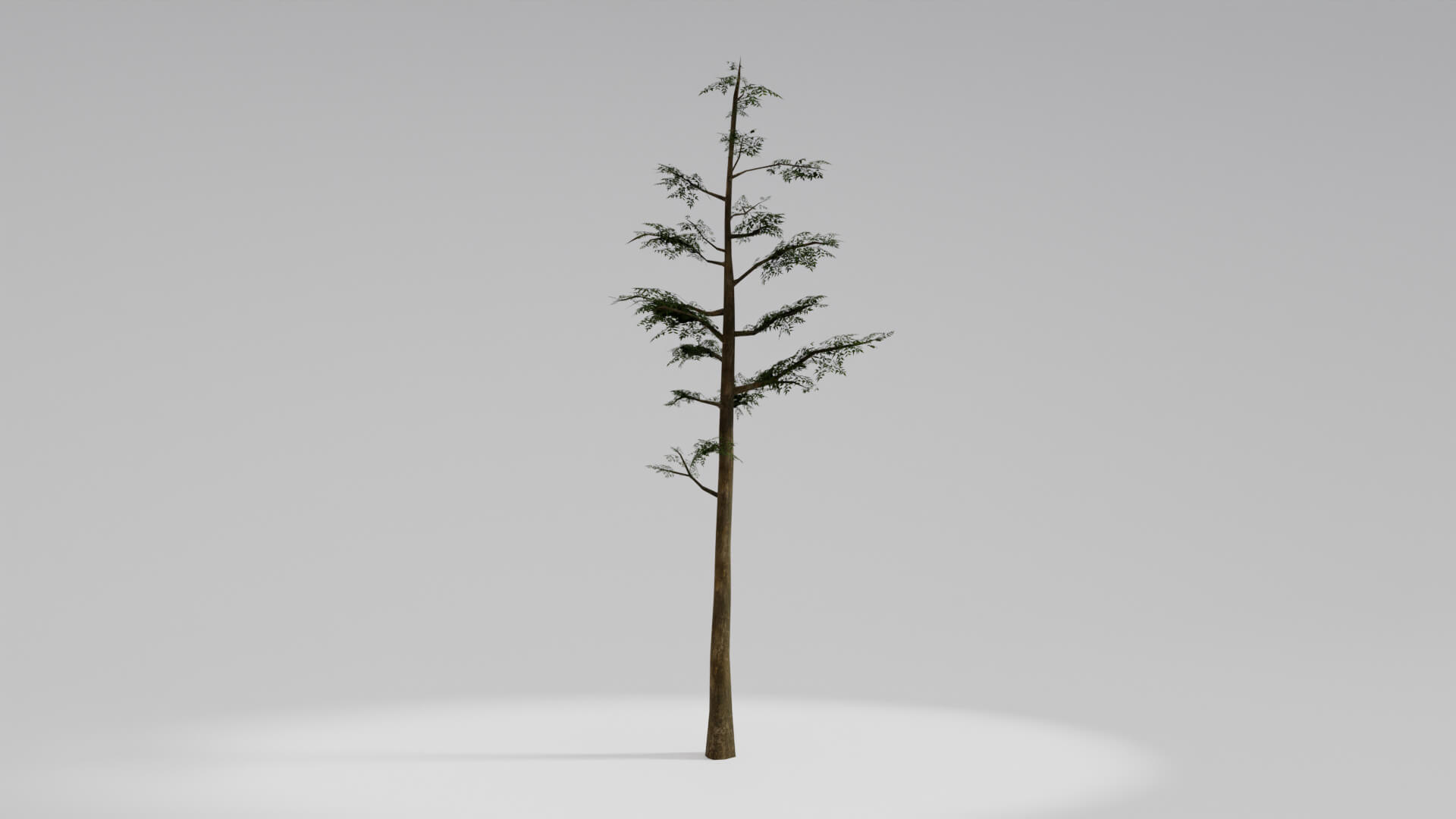 Resident Evil Tropical Plant 3D Model