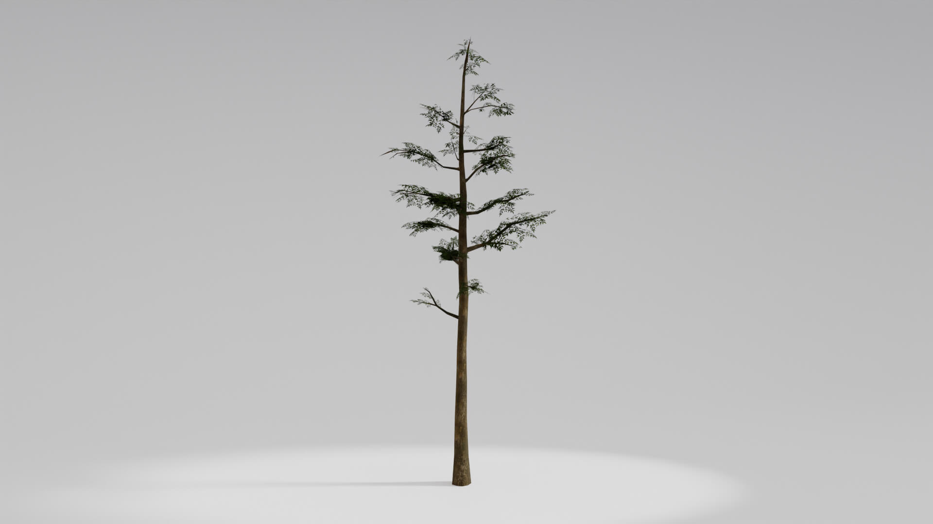 Resident Evil Tropical Plant 3D Model