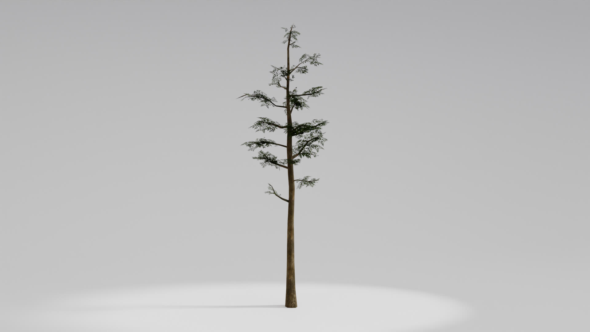 Resident Evil Tropical Plant 3D Model