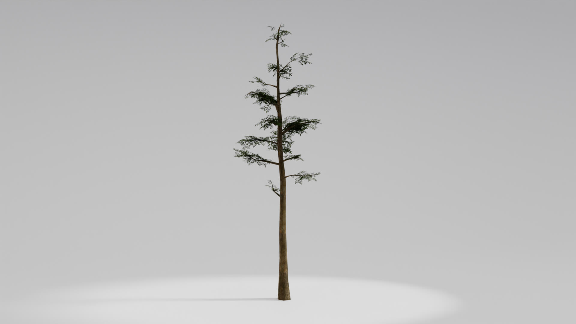 Resident Evil Tropical Plant 3D Model