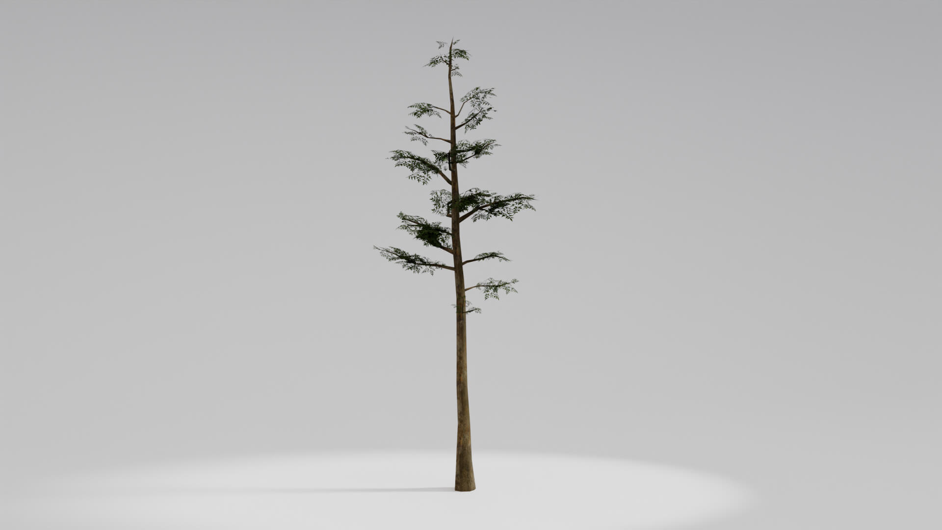 Resident Evil Tropical Plant 3D Model